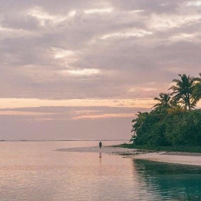 Lê Văn Hậu avatar